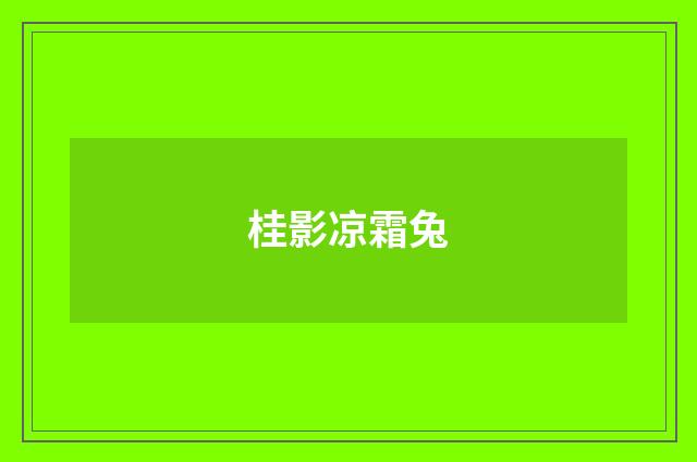 桂影凉霜兔