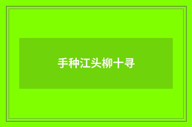 手种江头柳十寻