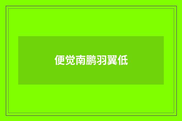 便觉南鹏羽翼低