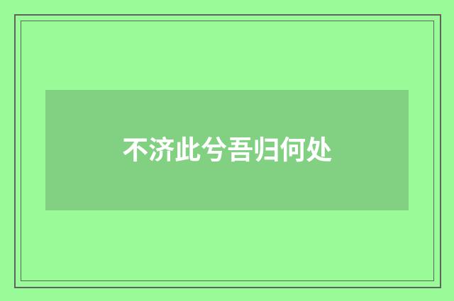 不济此兮吾归何处