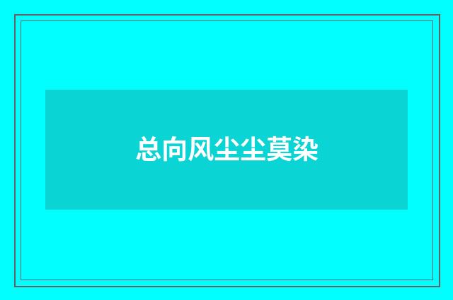总向风尘尘莫染