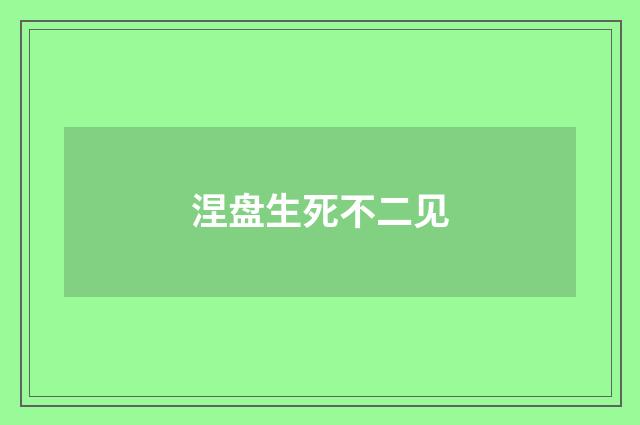 涅盘生死不二见