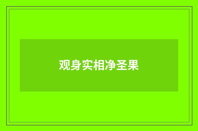观身实相净圣果
