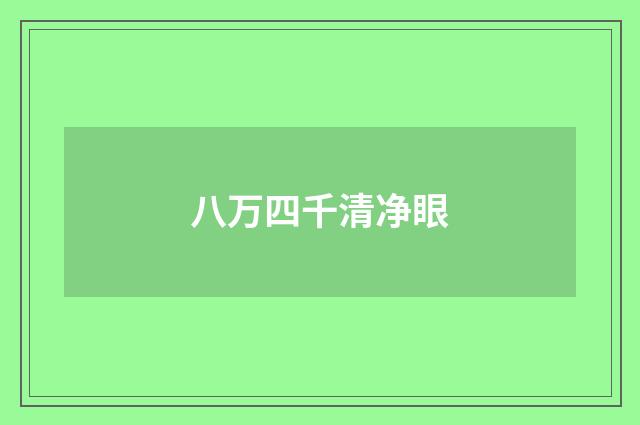 八万四千清净眼