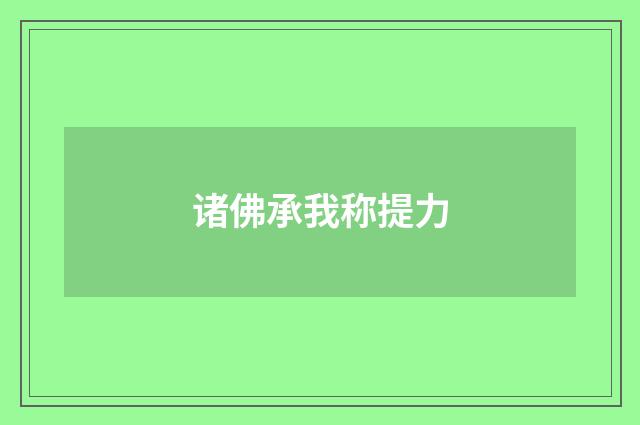诸佛承我称提力