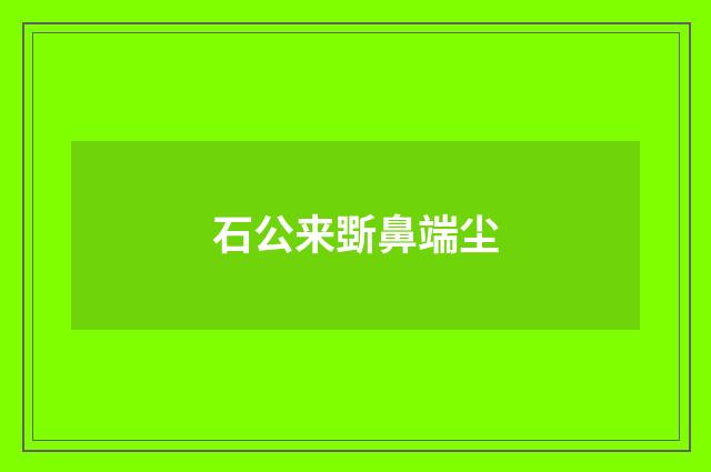 石公来斲鼻端尘