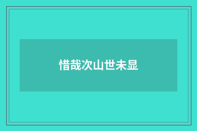 惜哉次山世未显
