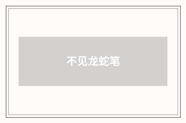 不见龙蛇笔
