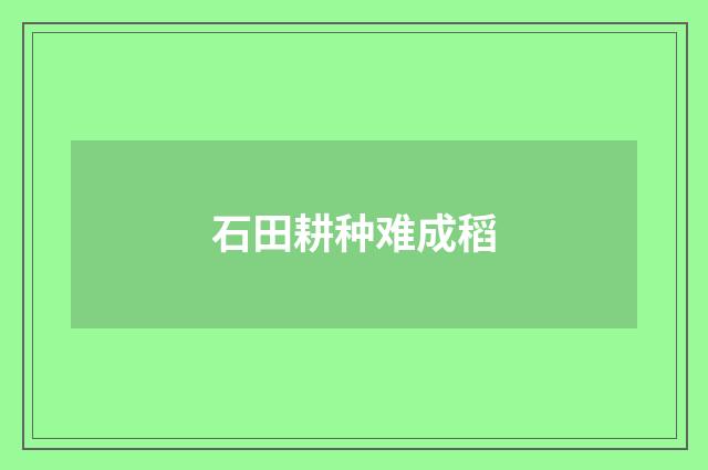 石田耕种难成稻