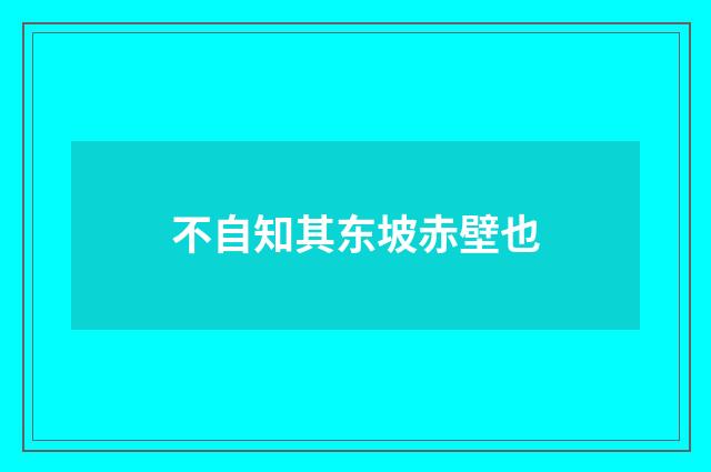 不自知其东坡赤壁也