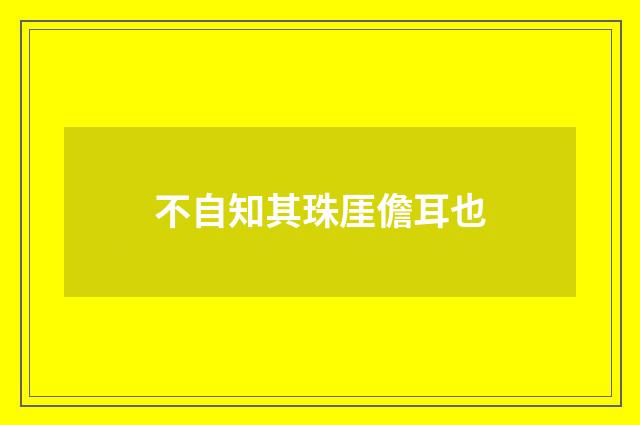 不自知其珠厓儋耳也