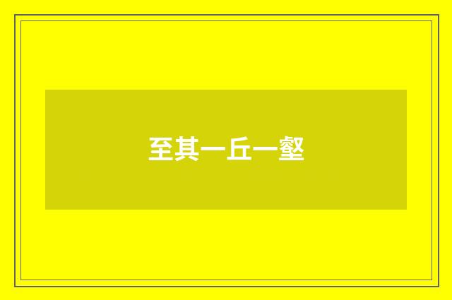 至其一丘一壑