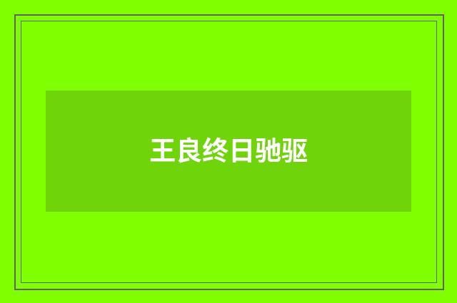 王良终日驰驱