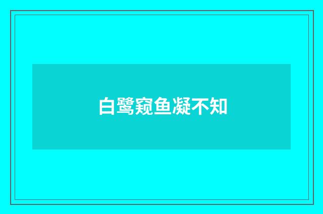 白鹭窥鱼凝不知