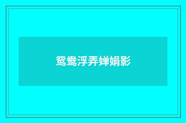 鸳鸯浮弄婵娟影