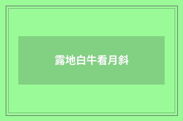 露地白牛看月斜