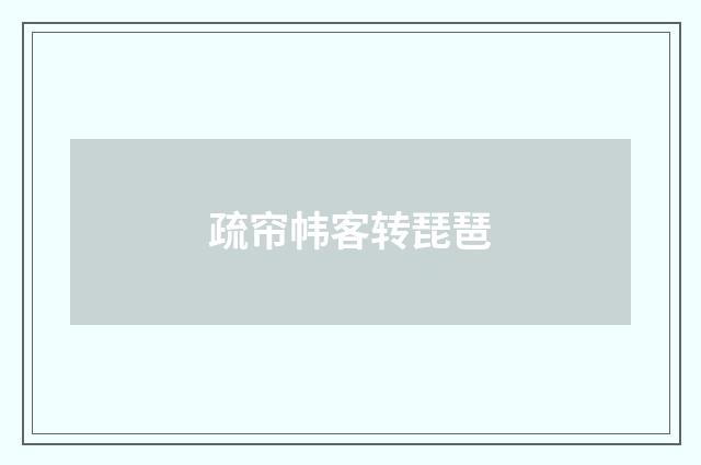 疏帘帏客转琵琶