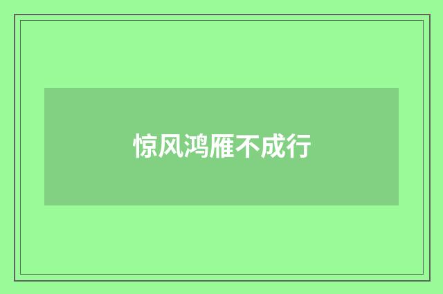 惊风鸿雁不成行