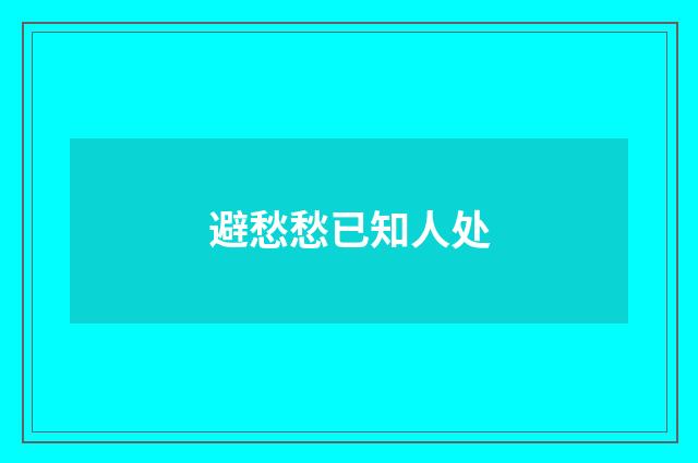 避愁愁已知人处