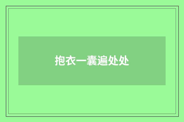 抱衣一囊遍处处