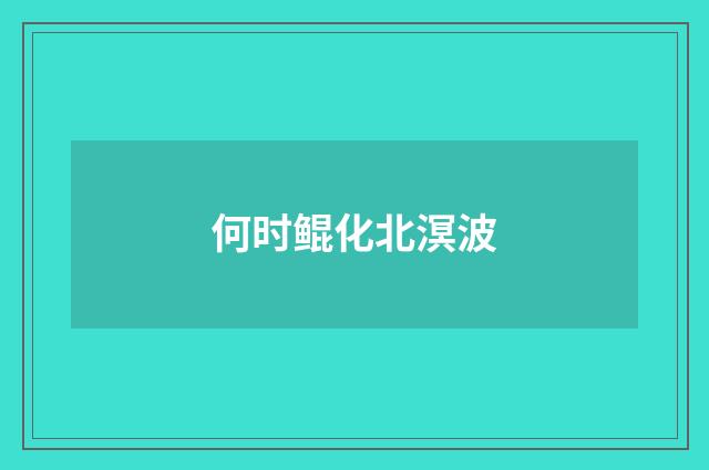 何时鲲化北溟波
