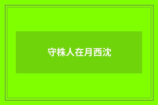 守株人在月西沈