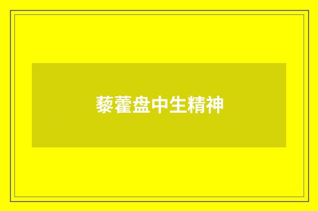 藜藿盘中生精神