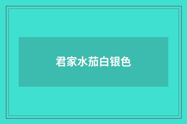 君家水茄白银色