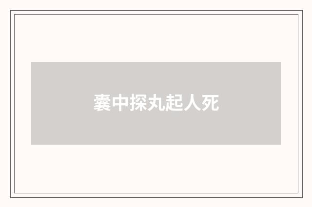 囊中探丸起人死
