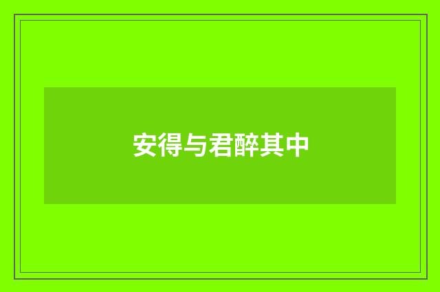 安得与君醉其中
