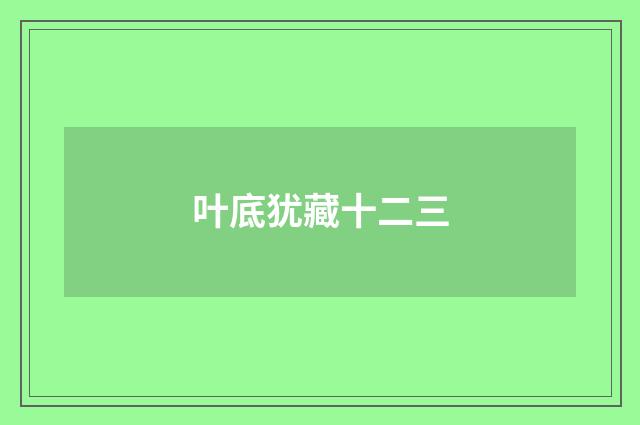 叶底犹藏十二三