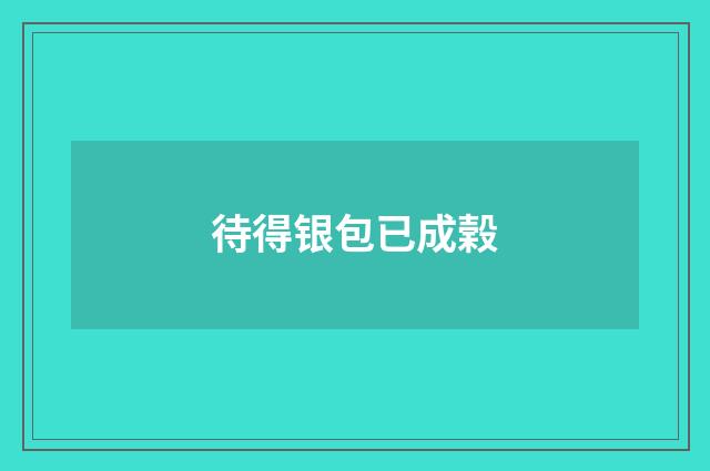 待得银包已成榖