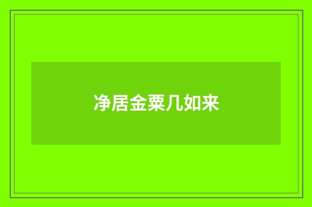净居金粟几如来