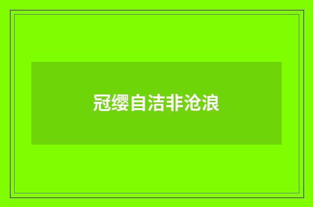 冠缨自洁非沧浪