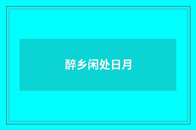 醉乡闲处日月