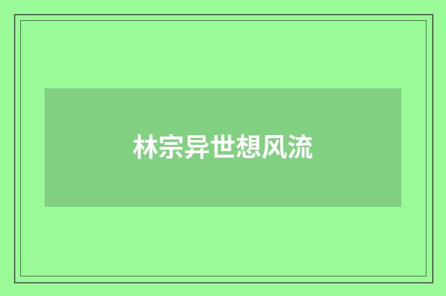 林宗异世想风流