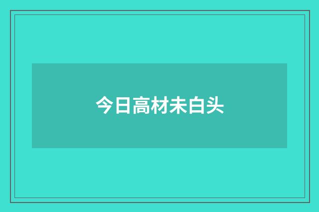 今日高材未白头