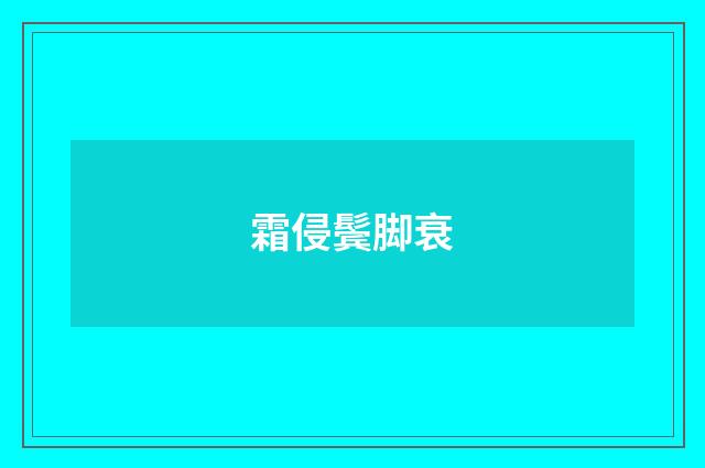霜侵鬓脚衰