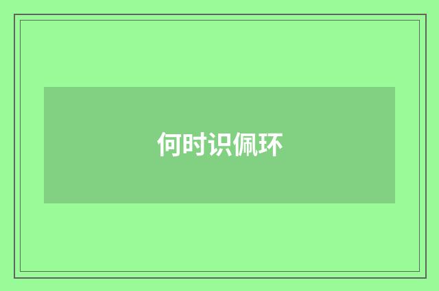 何时识佩环