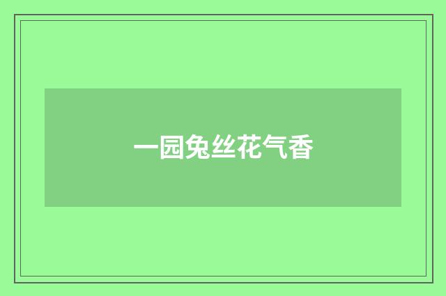 一园兔丝花气香