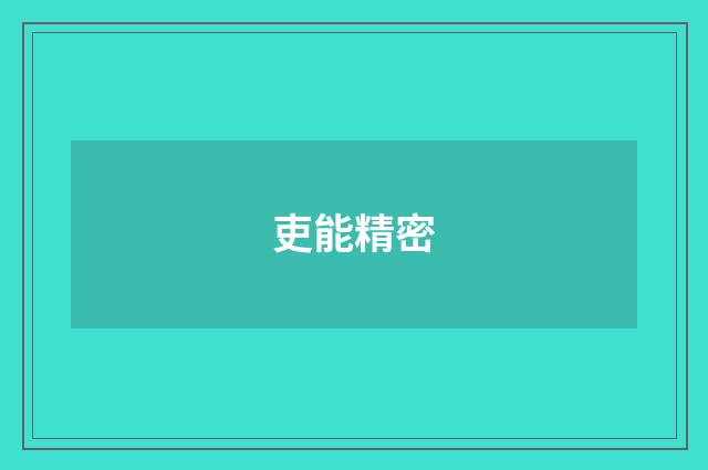 吏能精密