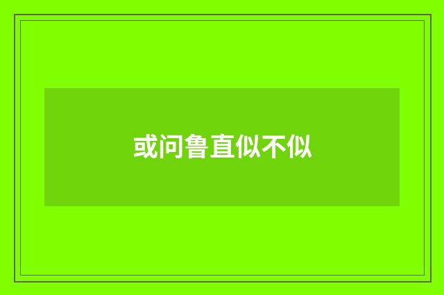 或问鲁直似不似