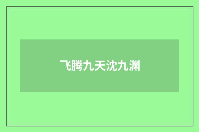 飞腾九天沈九渊