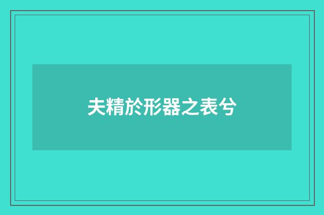 夫精於形器之表兮