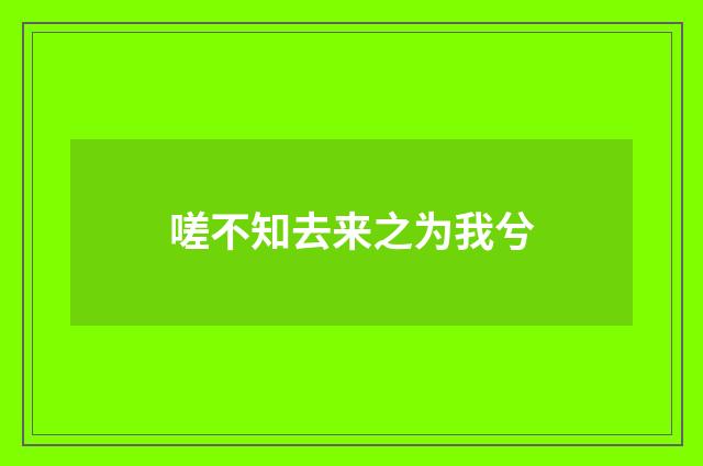 嗟不知去来之为我兮