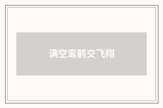 满空鸾鹤交飞翔