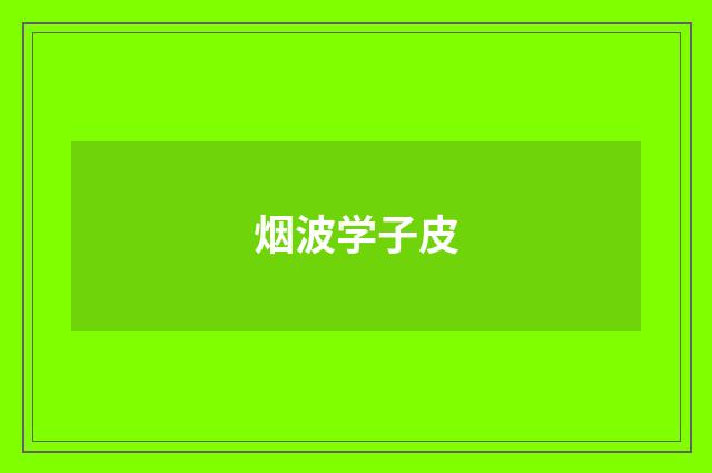 烟波学子皮