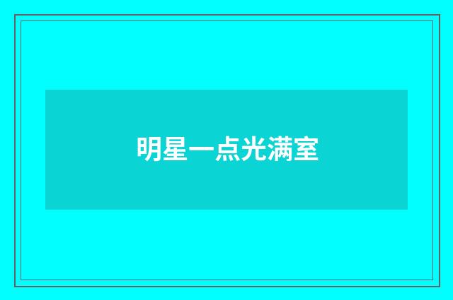 明星一点光满室