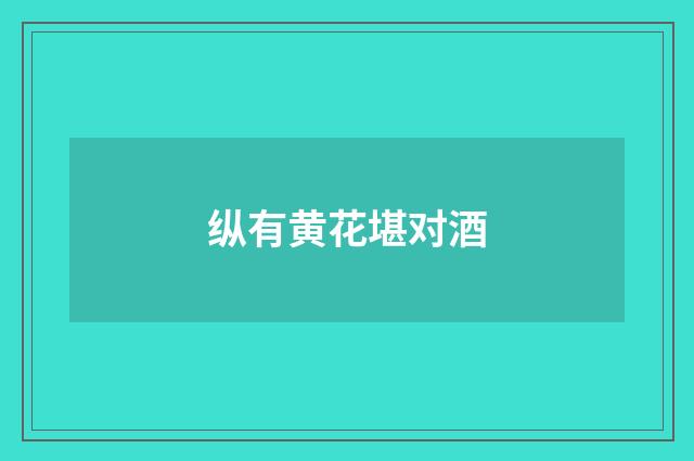 纵有黄花堪对酒