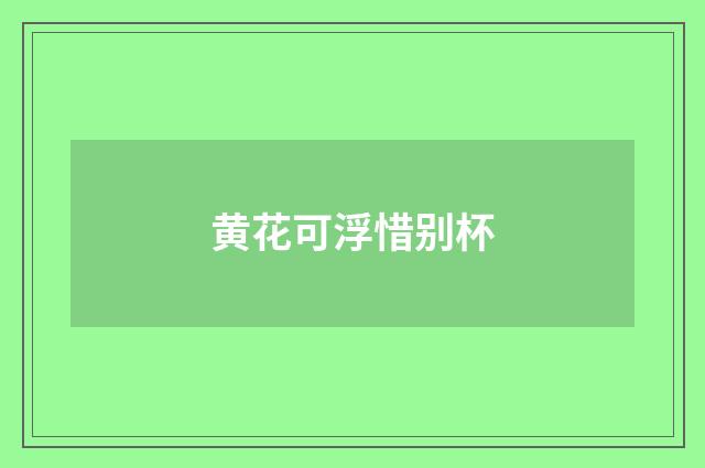 黄花可浮惜别杯